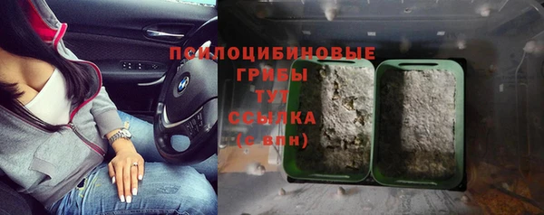 мет Осташков